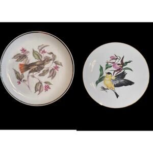 Schumann Arzberg Bavaria Bird Porcelain Plate and Other Bird Plate Cottagecore